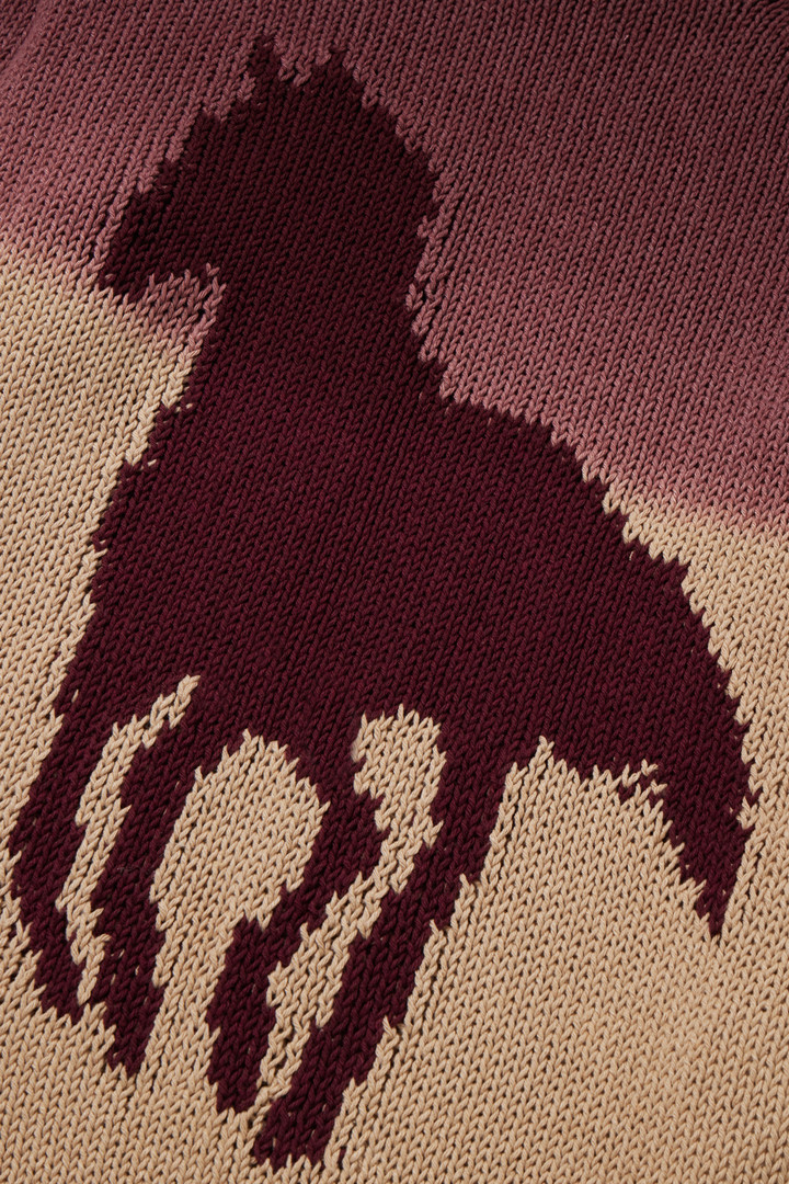 Pullover mit Rundhalsausschnitt aus Baumwollmischgewebe mit Farbverlauf - One Of These Days / Woolrich Weiß photo 8 | Woolrich