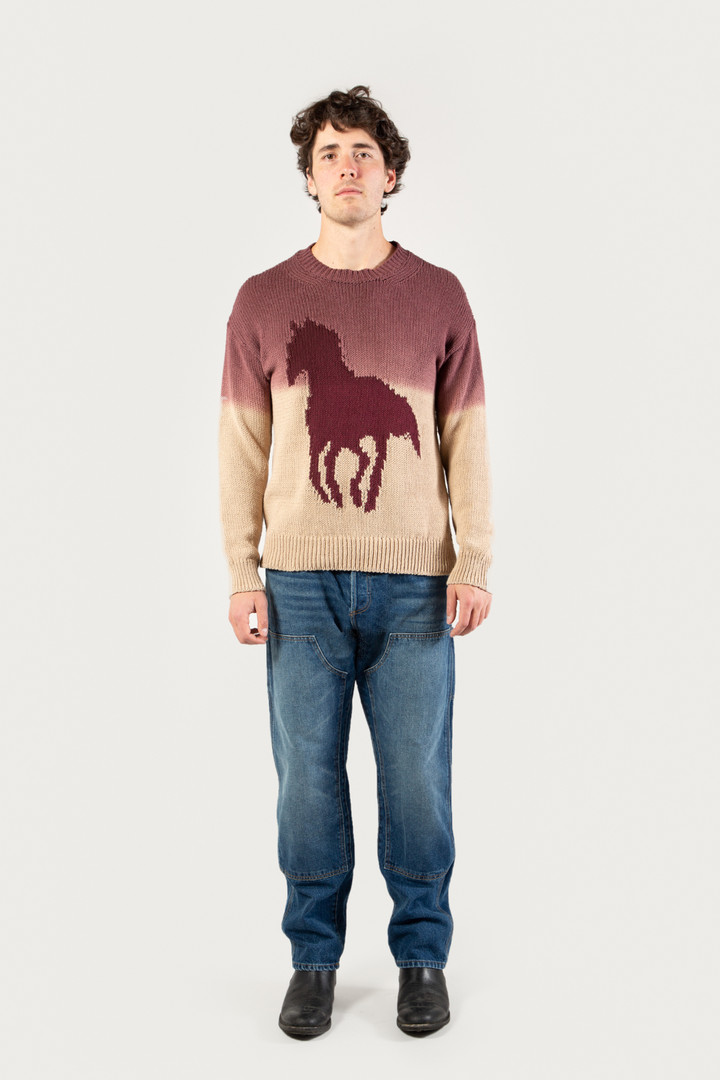Pullover mit Rundhalsausschnitt aus Baumwollmischgewebe mit Farbverlauf - One Of These Days / Woolrich Weiß photo 1 | Woolrich