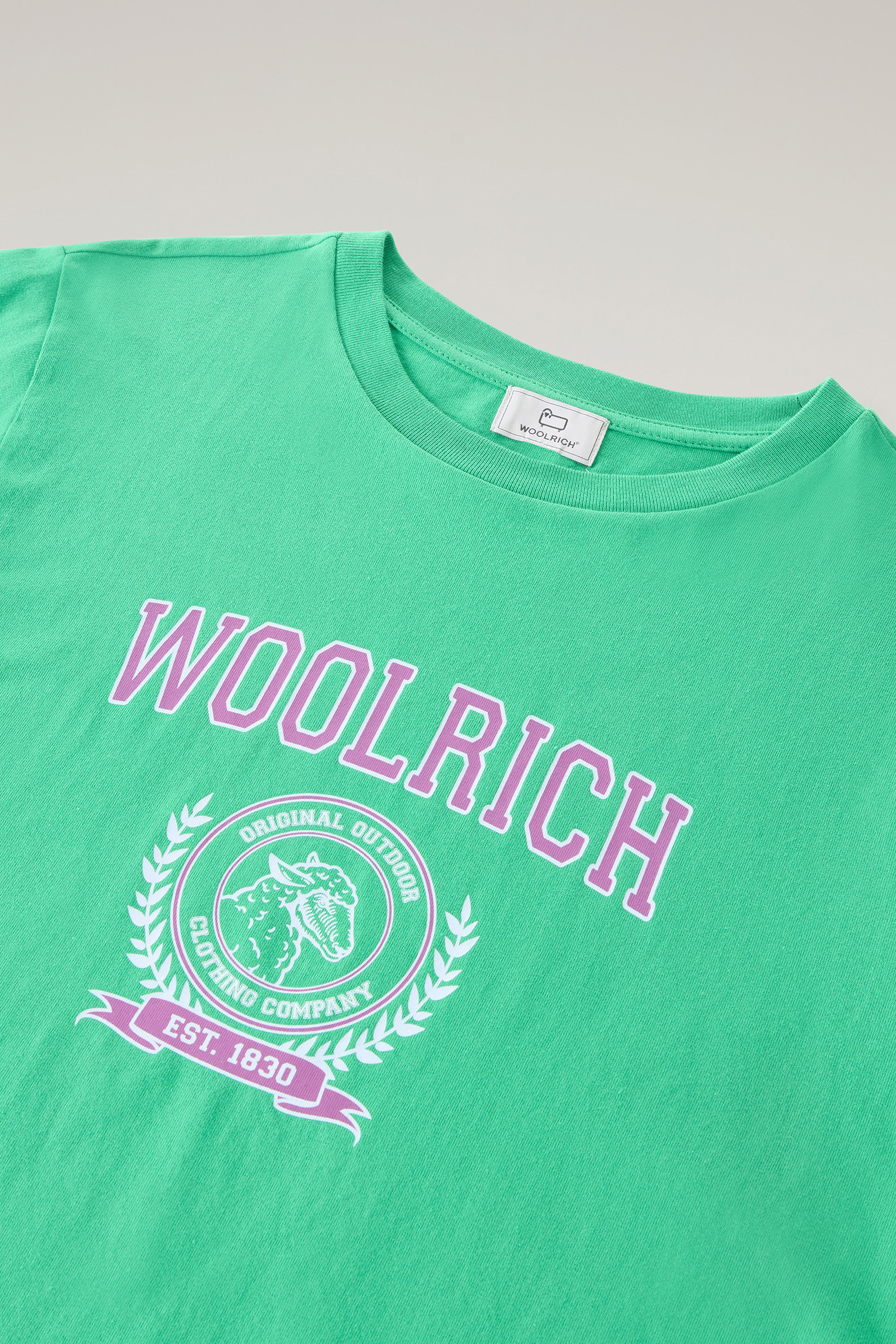 Ivy Crewneck T-Shirt in Pure Cotton Green photo 6 | Woolrich