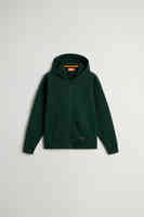 Dark Holly Green