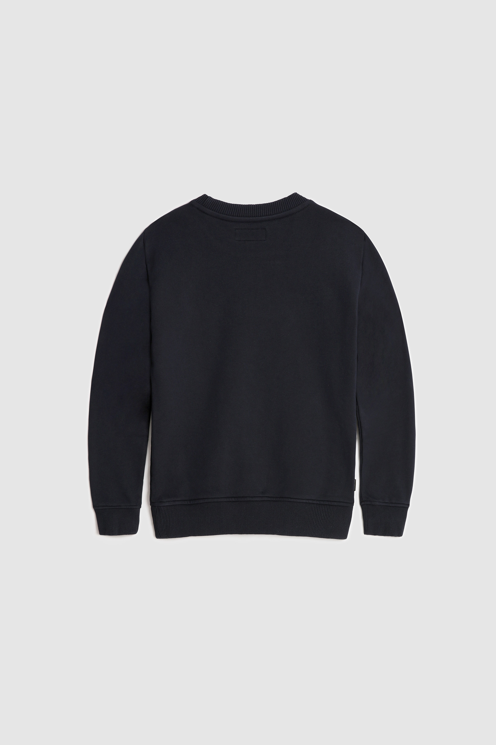 Boy's Crewneck Sweatshirt in Organic Cotton Blue photo 2 | Woolrich