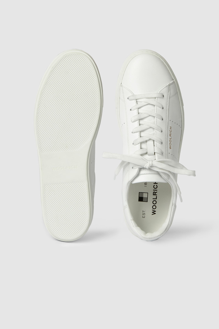 Sneakers All Around