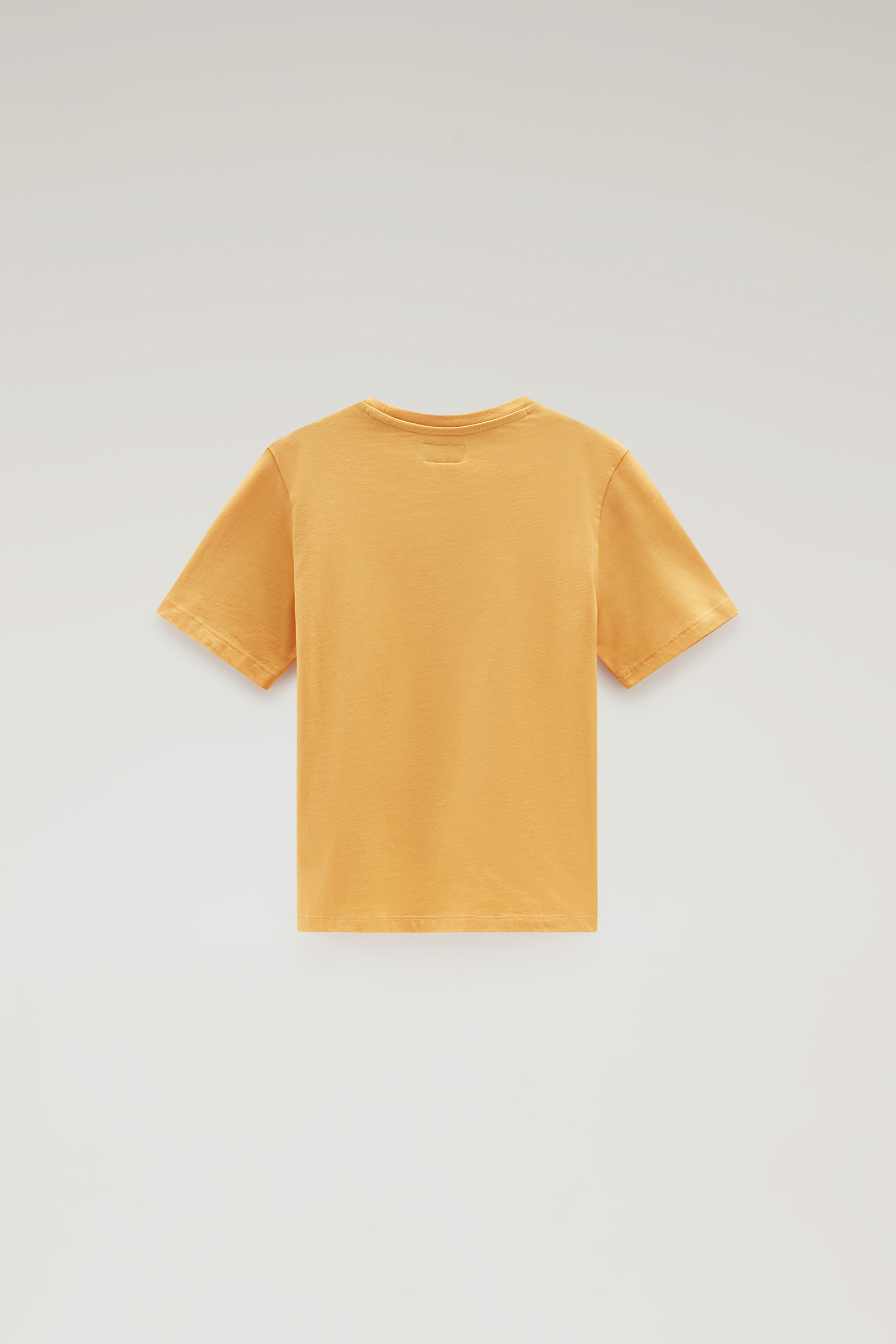 Boys' Varsity Logo Tee in Pure Cotton Yellow photo 2 | Woolrich