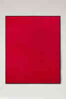 Red Buffalo