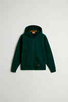Dark Holly Green