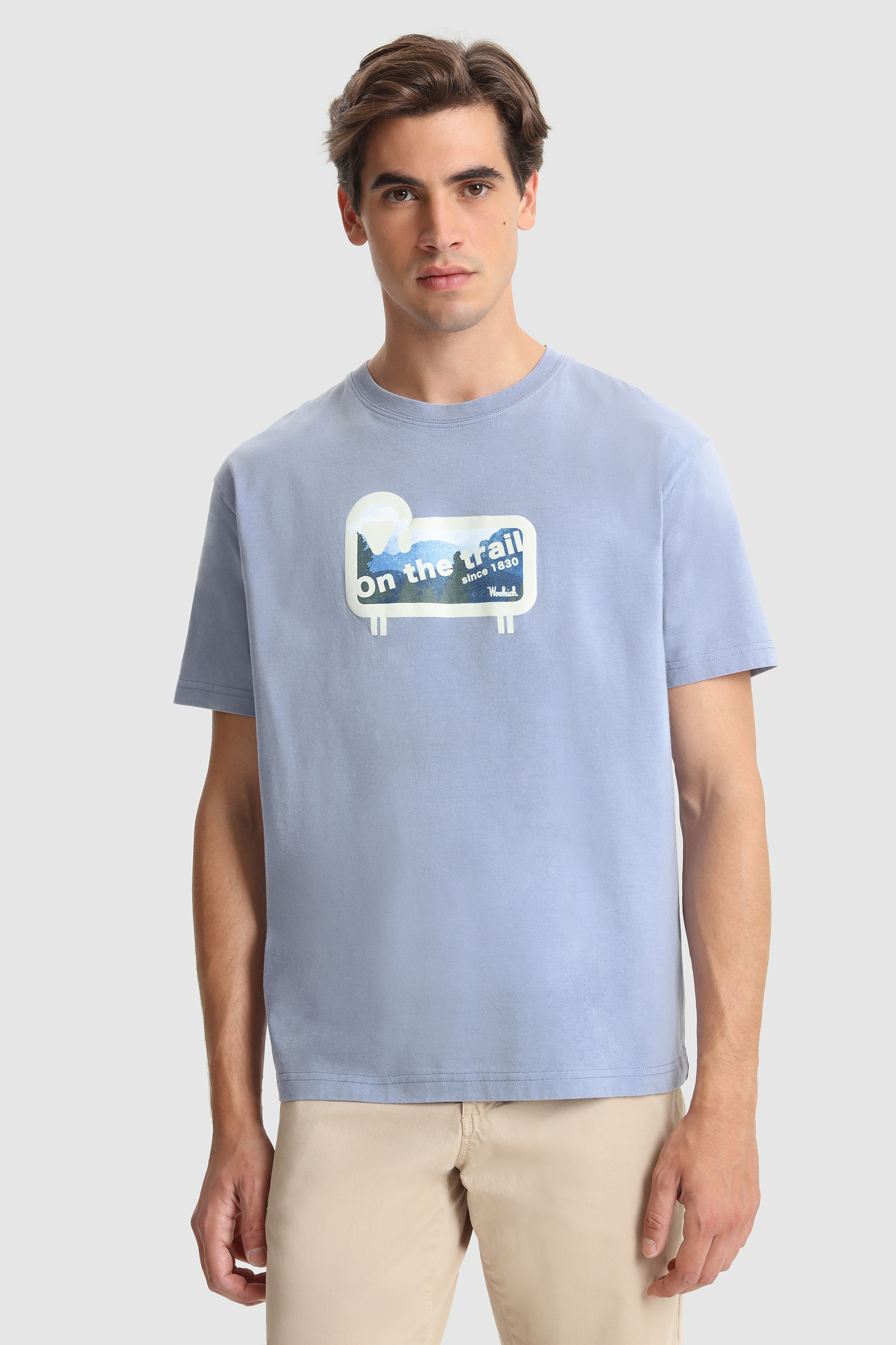 Sheep Panorama tee