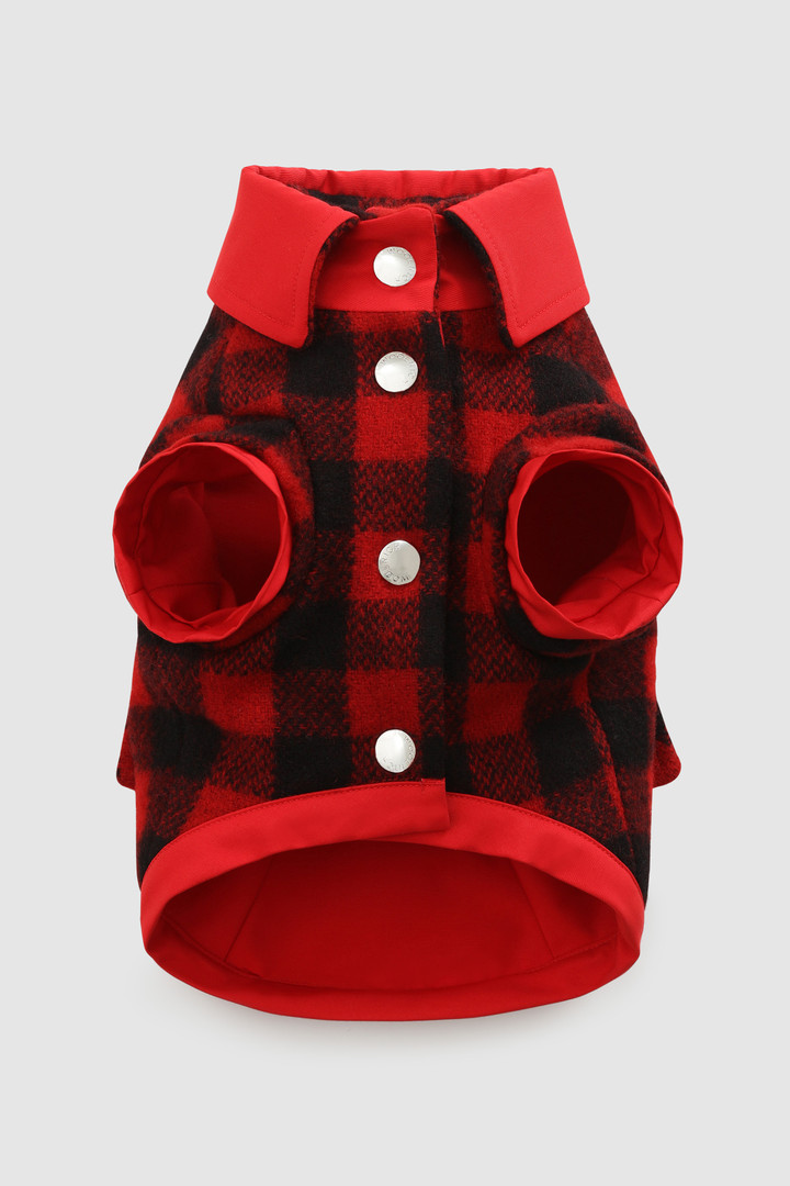 Temellini / Woolrich overhemd Buffalo Check kleine hond
