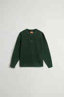 Dark Holly Green