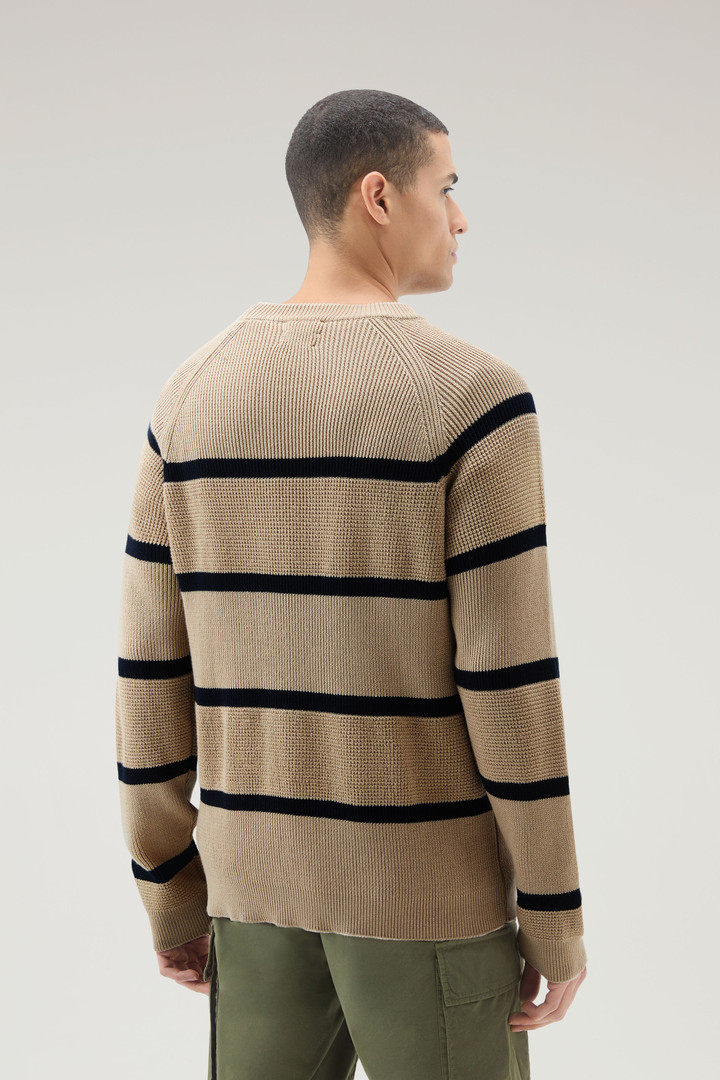 Striped Crewneck Sweater in Pure Cotton Beige photo 3 | Woolrich