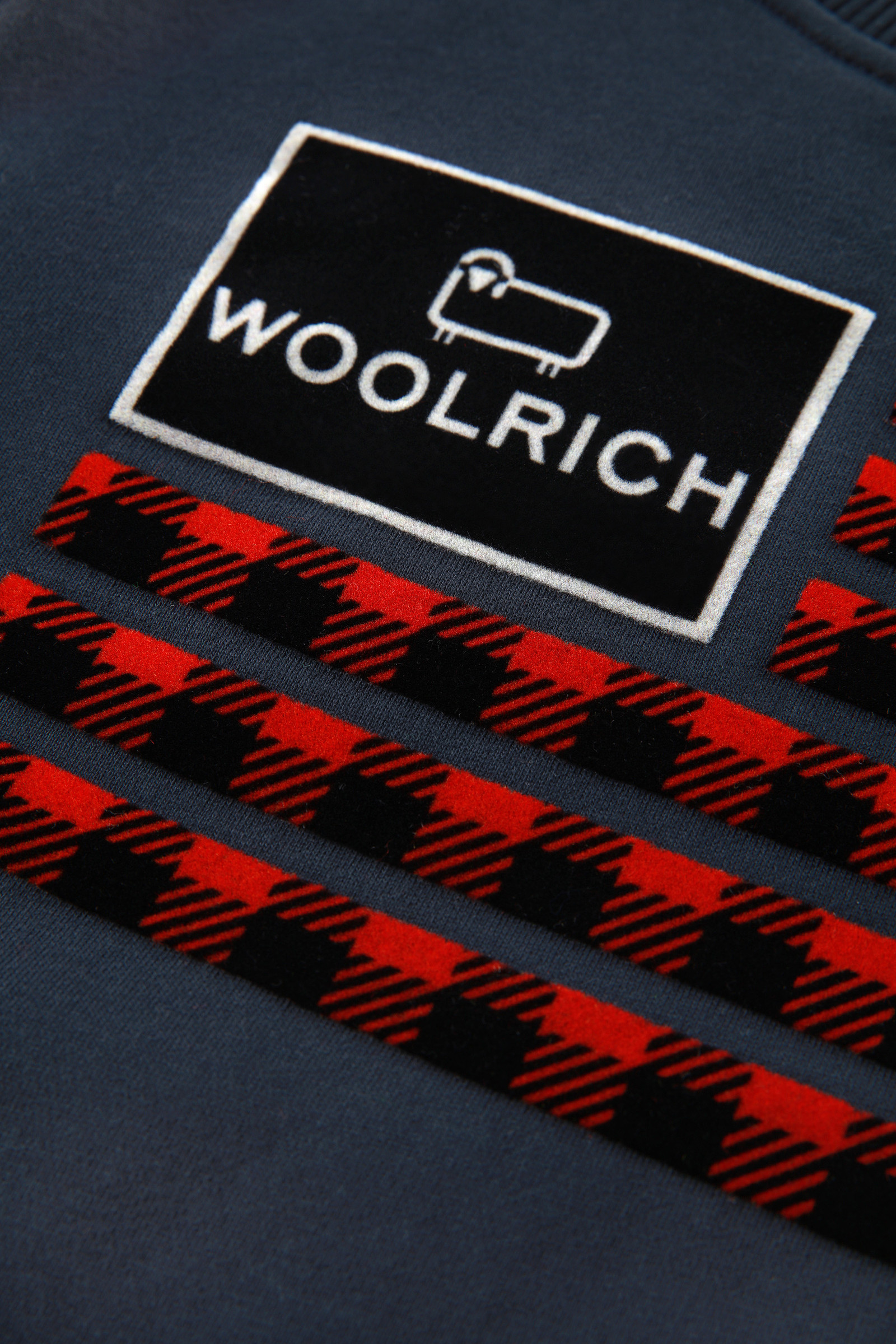 Boys' Flag Logo Crewneck Sweatshirt in Pure Cotton Blue photo 5 | Woolrich