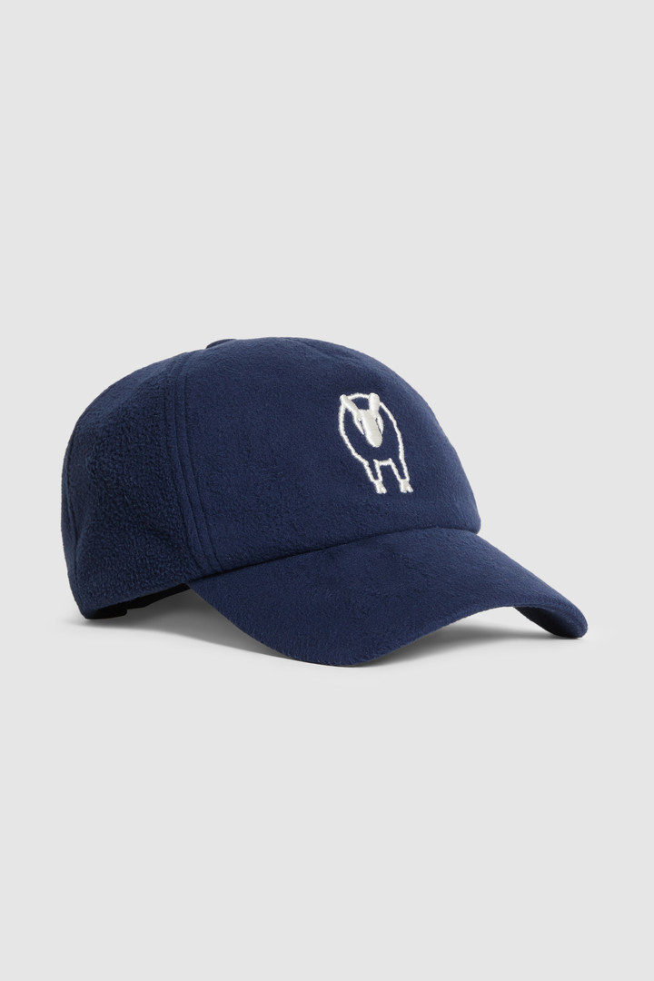 Eco-friendly fleece baseball hat