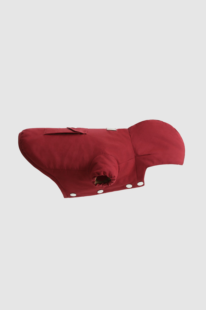 Temellini / Woolrich Parka für kleinen Hund Rot photo 2 | Woolrich
