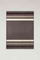 Camel Stripe