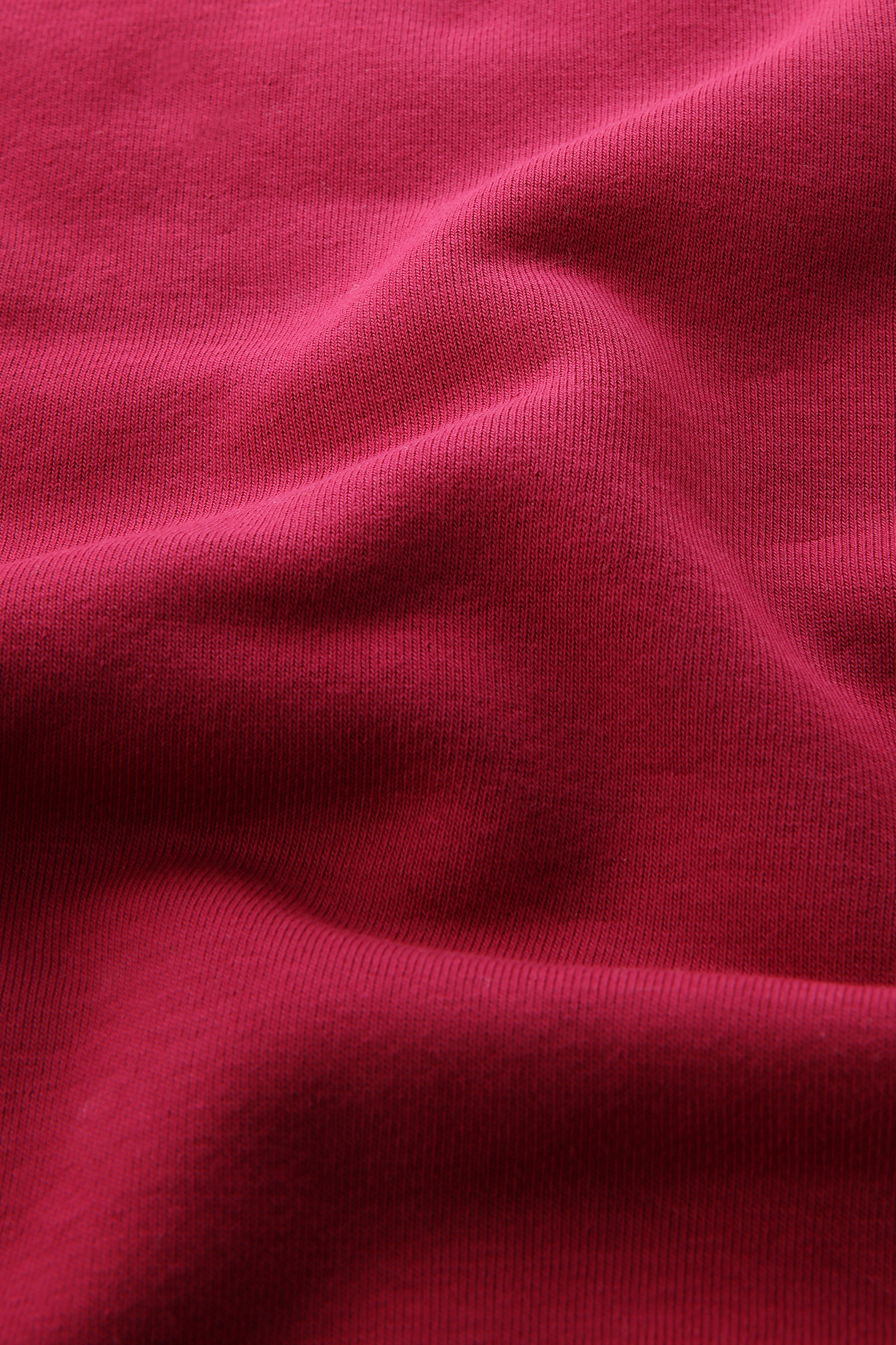 Embroidered Logo Fleece Sweatshirt Red photo 8 | Woolrich