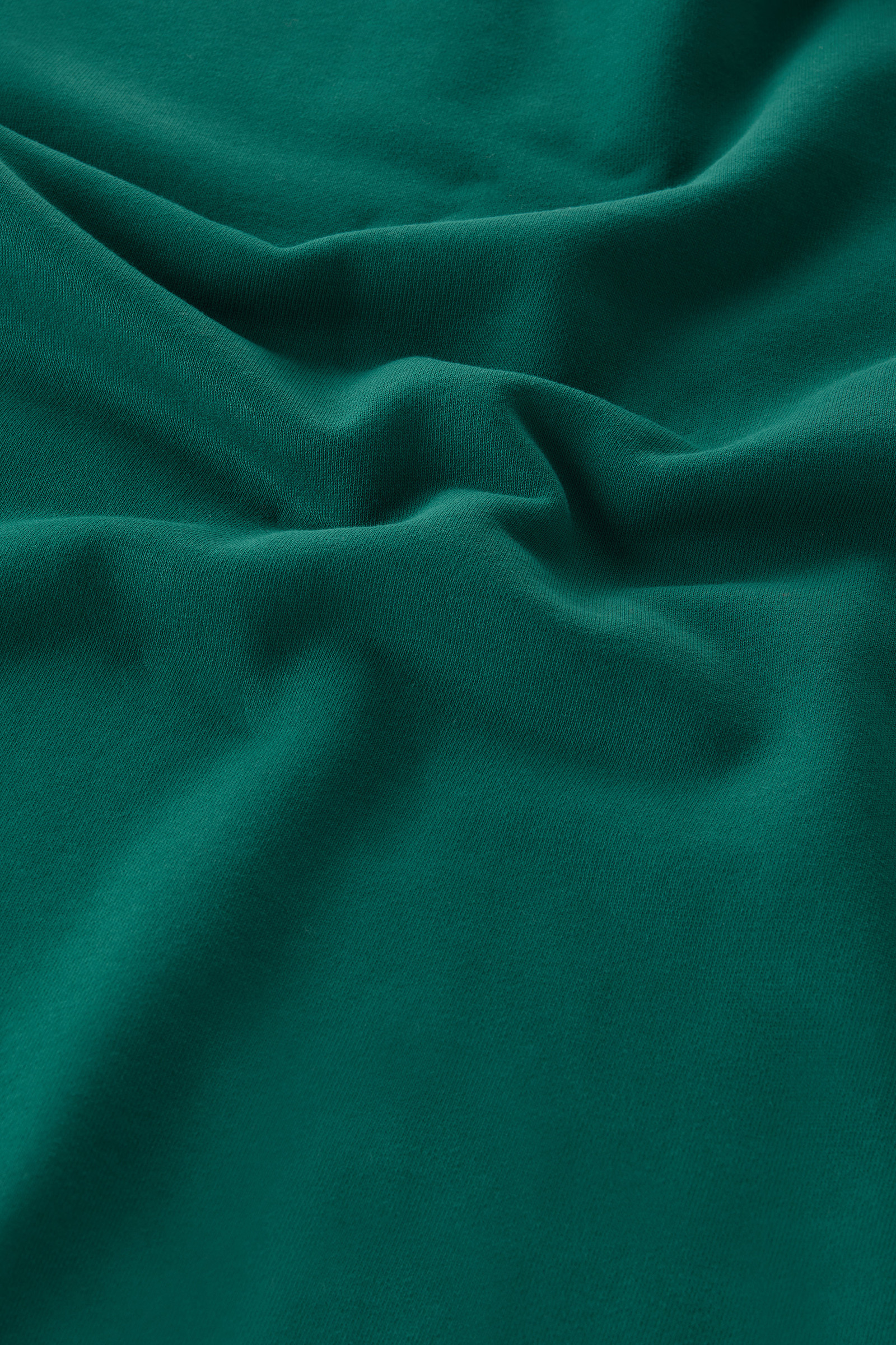 Hoodie in Pure Cotton Green photo 8 | Woolrich